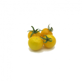 Pomodorino pepita