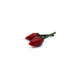 Peperoncino Adorno